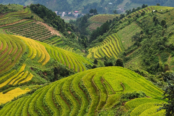 7D6N VIETNAM SAPA  HANOI HALONG MOSLEM TOUR - photo 18